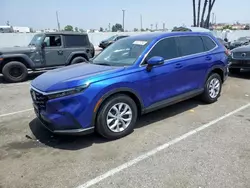 Salvage cars for sale at Van Nuys, CA auction: 2024 Honda CR-V LX