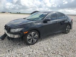 Salvage cars for sale at New Braunfels, TX auction: 2017 Honda Civic EXL