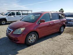 Salvage cars for sale at Martinez, CA auction: 2005 Honda Odyssey EXL