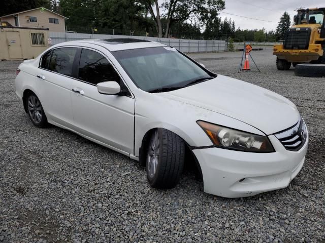 2011 Honda Accord EXL