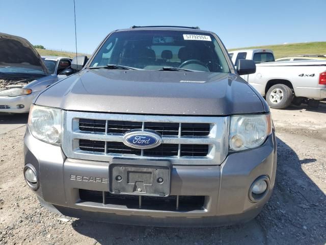 2011 Ford Escape XLT