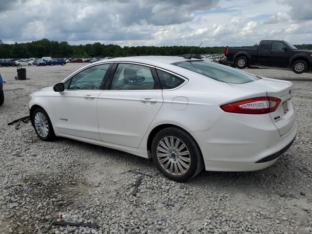 2013 Ford Fusion SE Hybrid