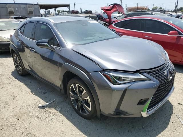 2020 Lexus UX 200