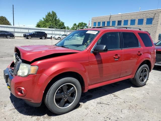 2010 Ford Escape XLT