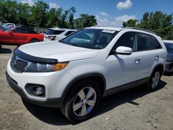 Salvage cars for sale at Baltimore, MD auction: 2013 KIA Sorento EX