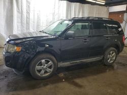 Ford Vehiculos salvage en venta: 2009 Ford Escape XLT