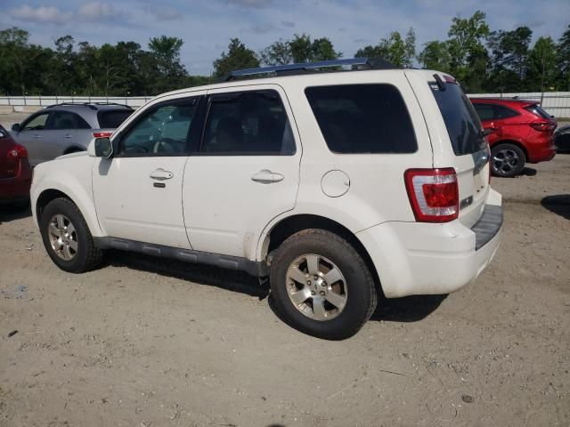 2011 Ford Escape Limited