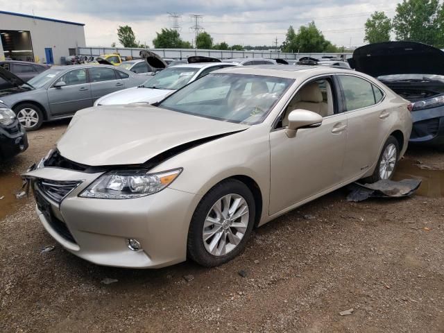 2014 Lexus ES 300H