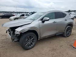 Salvage cars for sale from Copart Houston, TX: 2023 Lexus NX 350