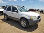 2007 Ford Escape XLT