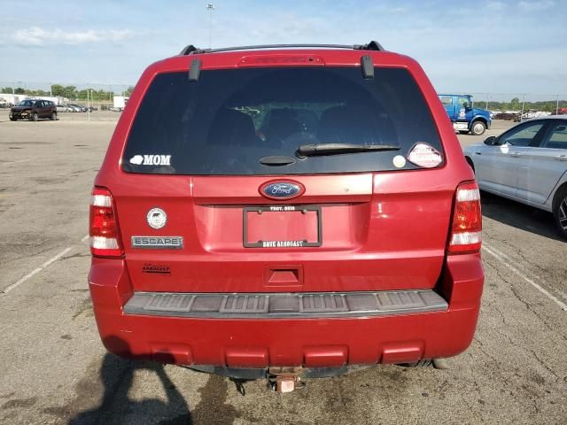 2011 Ford Escape XLT