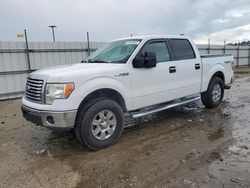 Salvage SUVs for sale at auction: 2012 Ford F150 Supercrew