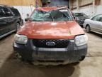 2006 Ford Escape XLT