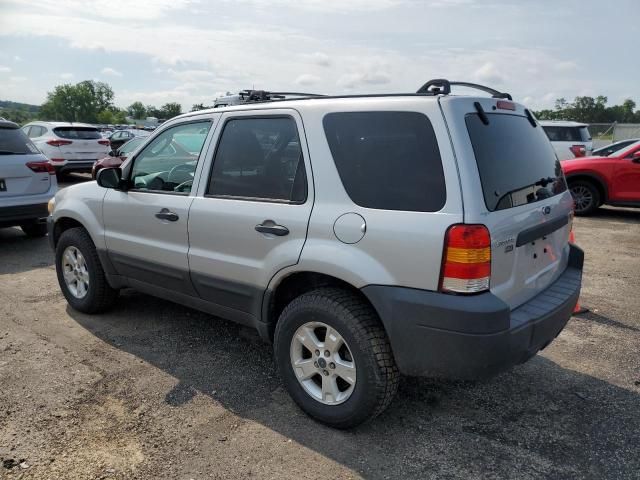 2006 Ford Escape XLT