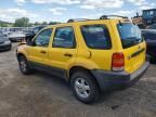 2003 Ford Escape XLS