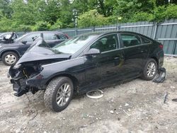 Salvage cars for sale at Candia, NH auction: 2019 Hyundai Sonata SE