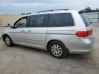 2008 Honda Odyssey EXL