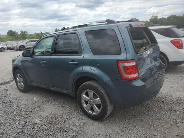 2010 Ford Escape Limited