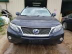 2010 Lexus RX 450