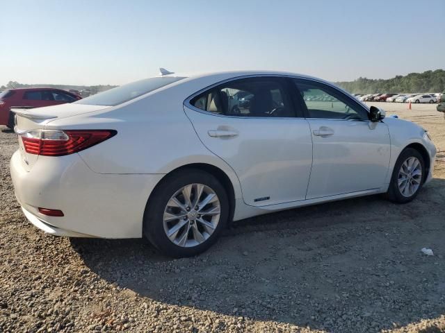 2014 Lexus ES 300H