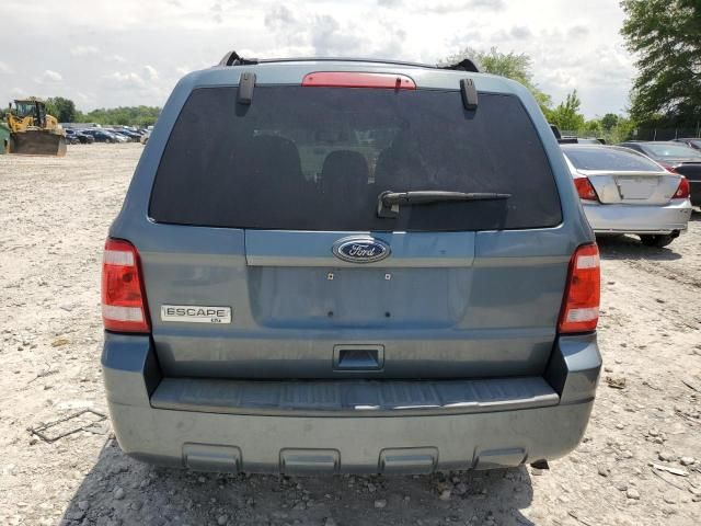 2010 Ford Escape XLT