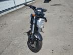 2023 Honda Grom 125