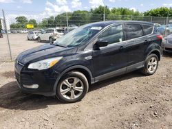 Ford Escape se salvage cars for sale: 2016 Ford Escape SE