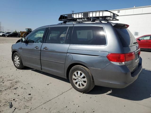 2010 Honda Odyssey EXL