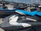 2019 Seadoo Spark