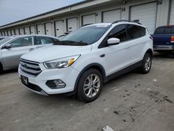 Salvage cars for sale from Copart Louisville, KY: 2017 Ford Escape SE