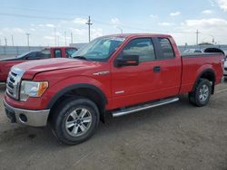 Salvage cars for sale at Greenwood, NE auction: 2012 Ford F150 Super Cab