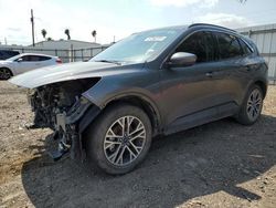 Salvage cars for sale at Mercedes, TX auction: 2022 Ford Escape SEL