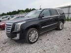 2019 Cadillac Escalade Platinum