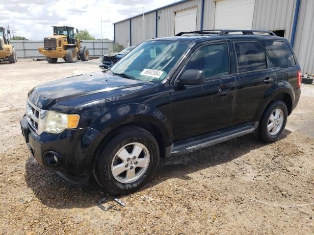 2012 Ford Escape XLT