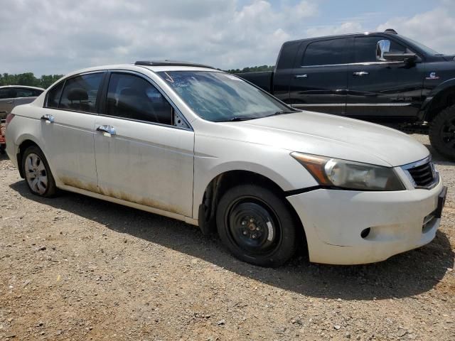 2008 Honda Accord EXL