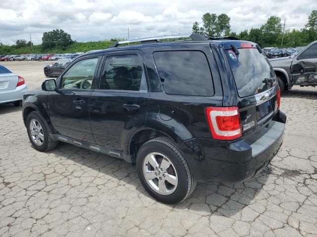 2010 Ford Escape Limited