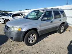 Salvage cars for sale from Copart Anderson, CA: 2006 Ford Escape XLT