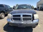 2005 Dodge Dakota Quad SLT