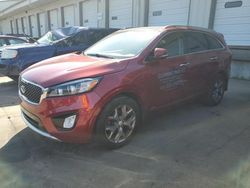 Salvage cars for sale at Louisville, KY auction: 2016 KIA Sorento SX