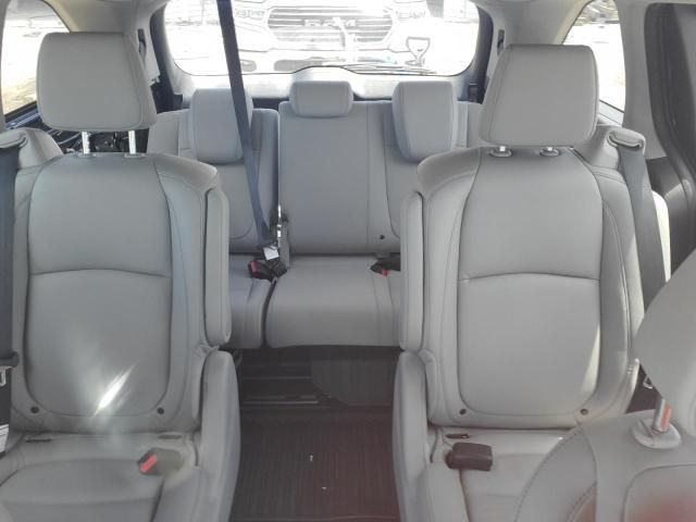 2024 Honda Odyssey EXL