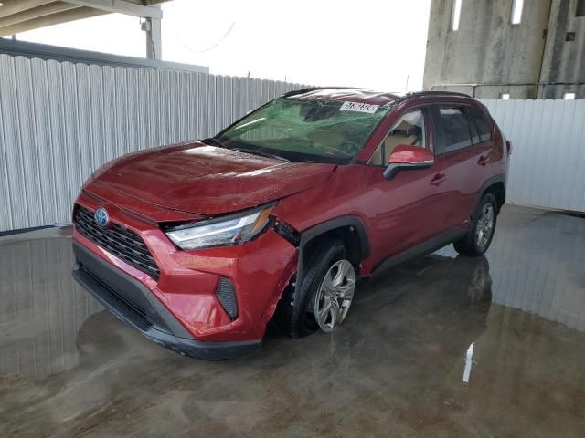 2023 Toyota Rav4 LE