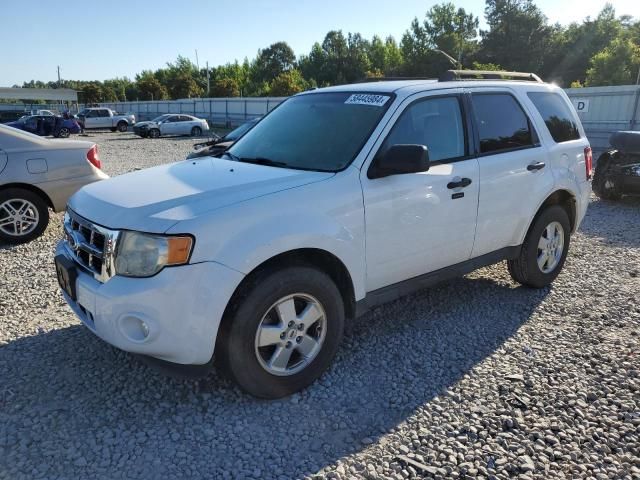 2012 Ford Escape XLT