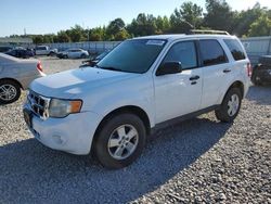 Salvage cars for sale at Memphis, TN auction: 2012 Ford Escape XLT