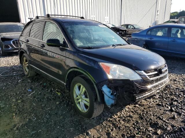 2010 Honda CR-V EXL