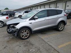 Salvage cars for sale at Louisville, KY auction: 2017 Ford Escape SE