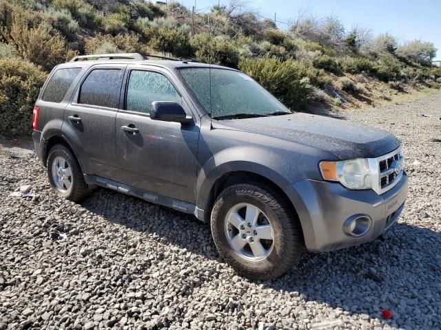 2011 Ford Escape XLT