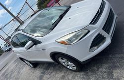 Vehiculos salvage en venta de Copart Apopka, FL: 2013 Ford Escape SE