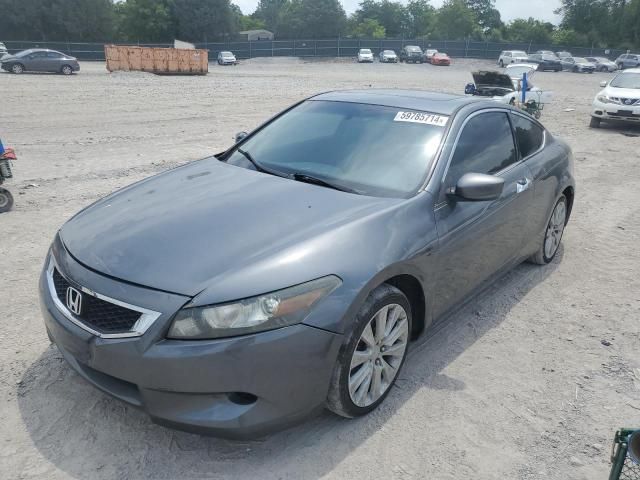 2010 Honda Accord EXL