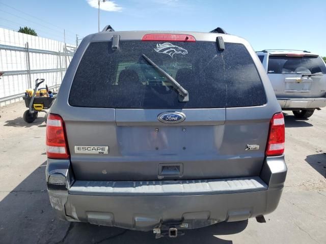 2010 Ford Escape XLT