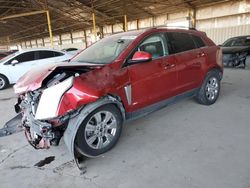 Salvage cars for sale at Phoenix, AZ auction: 2016 Cadillac SRX Luxury Collection